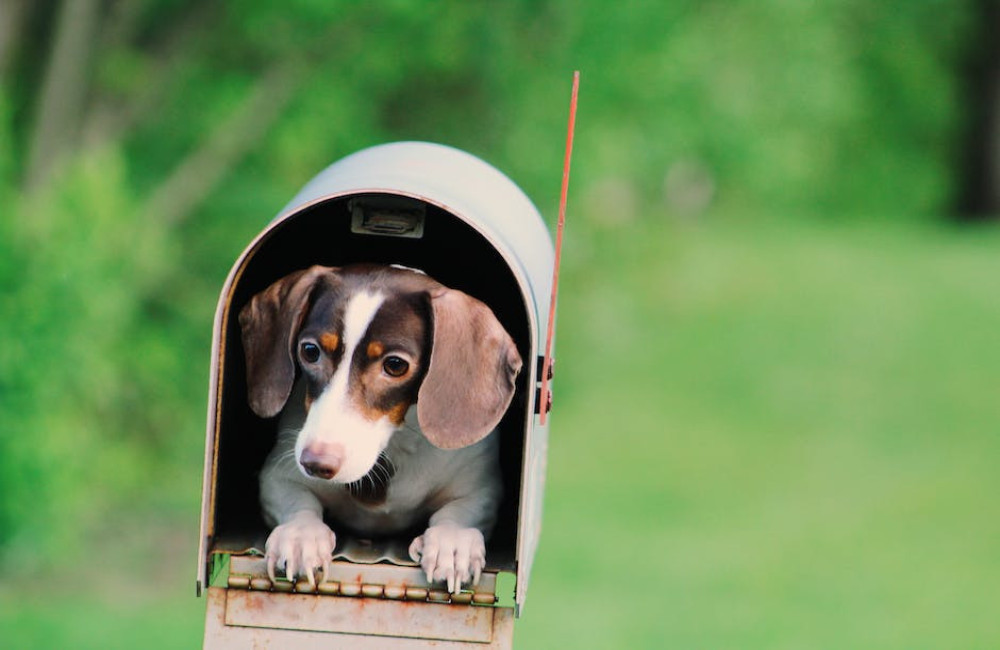 Alles over Gmail van Google